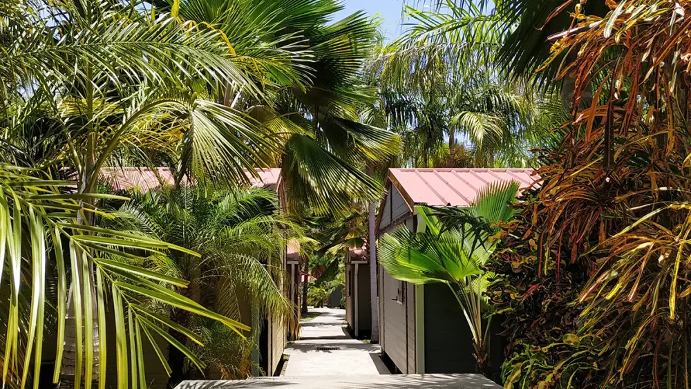Allée tropicale au cœur du Village de la Pointe