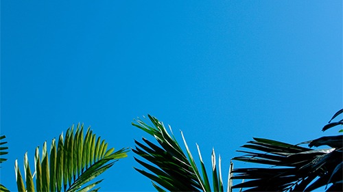 Location longue durée