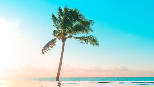 Tarif non remboursable