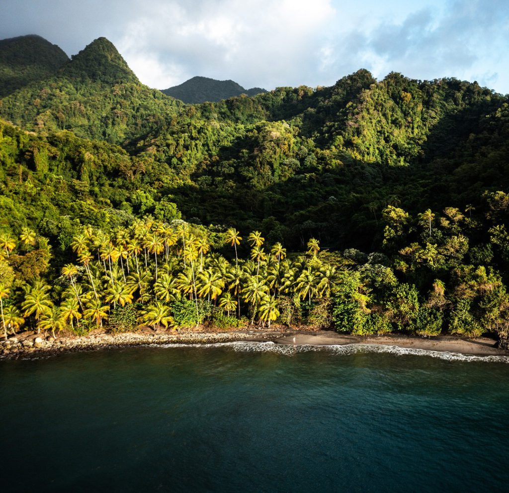 Galerie Village de la Pointe 27