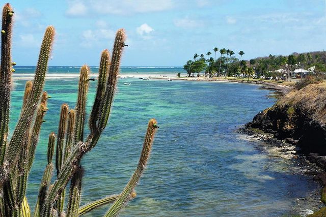 Galerie Village de la Pointe 24