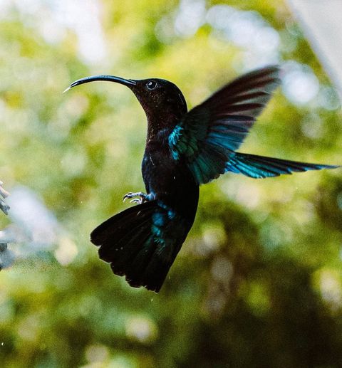 Galerie Village de la Pointe 22