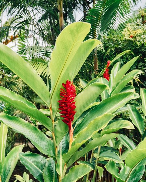 Galerie Village de la Pointe 21