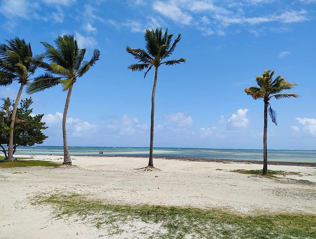 Galerie Village de la Pointe 17