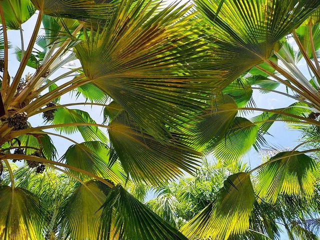 Galerie Village de la Pointe 15