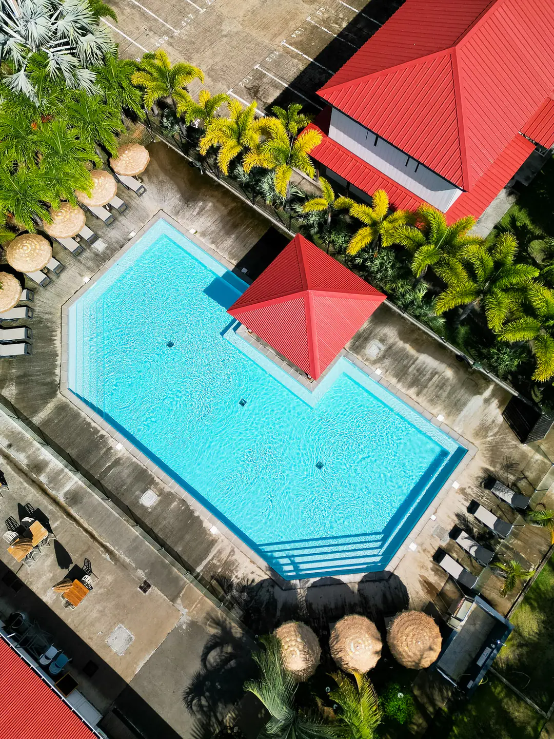 La piscine et ses transats entourés de toits rouges et de palmiers, vus du ciel