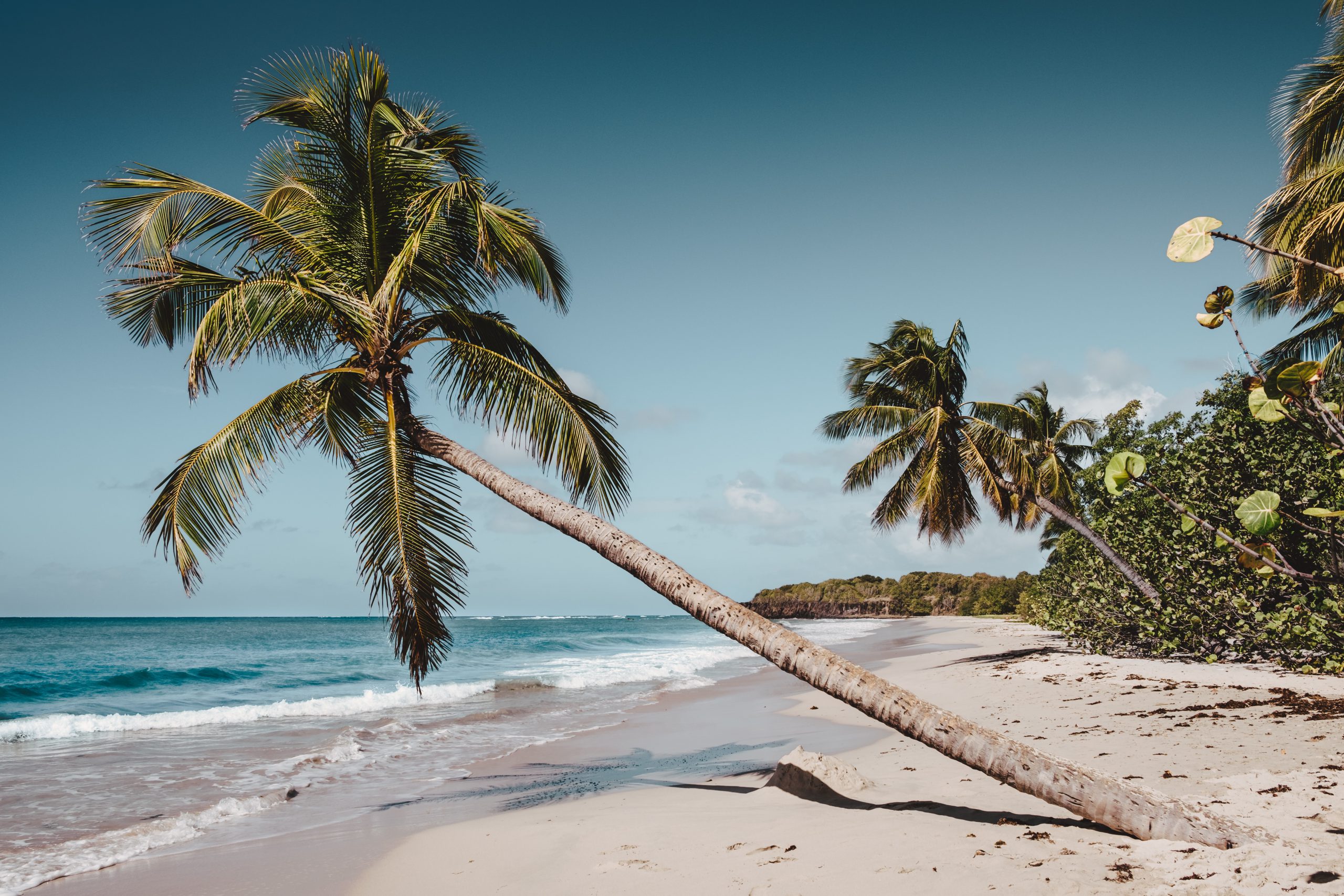 Climat : la Martinique et ses conditions météorologiques