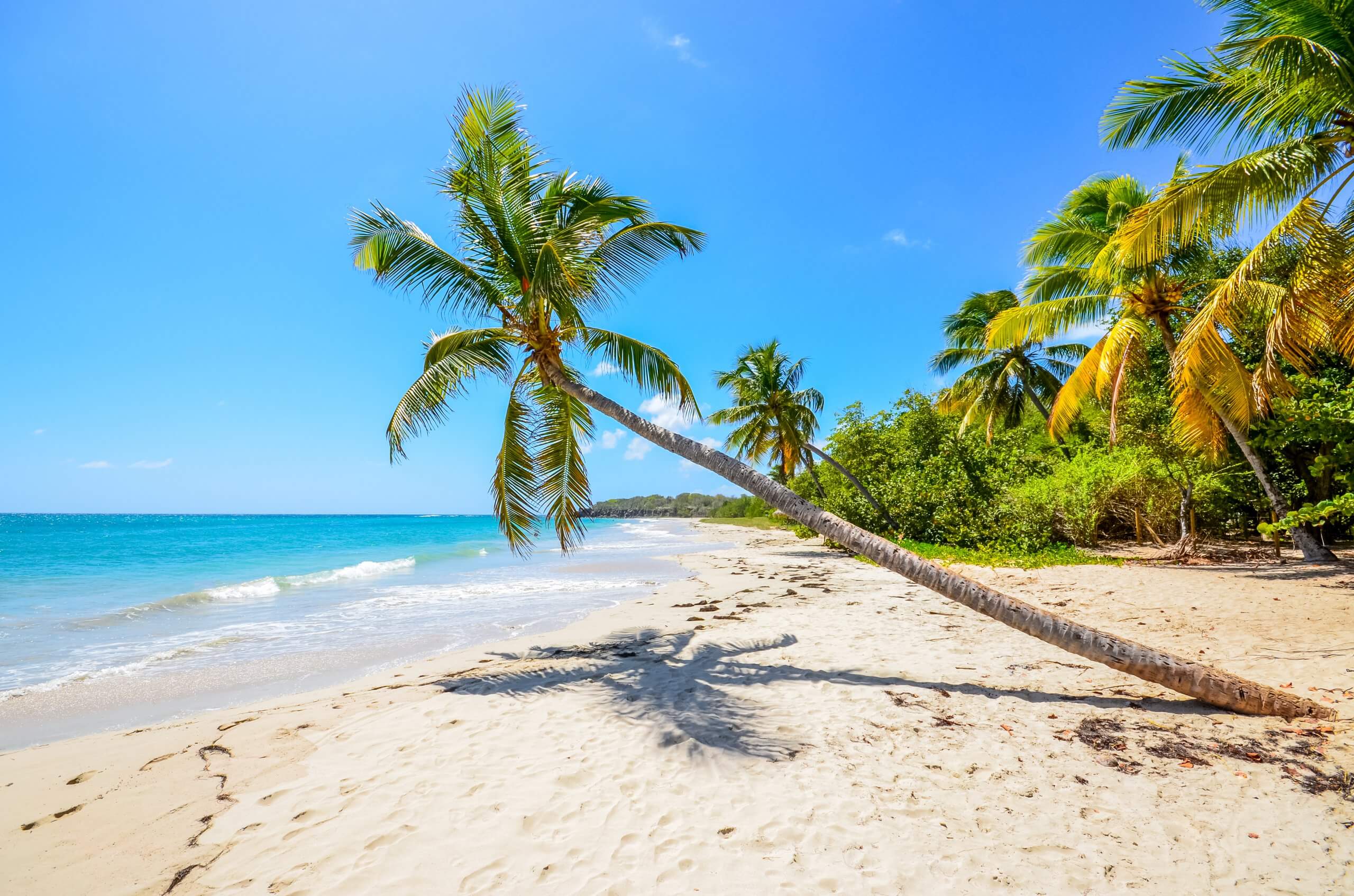 Vacances de Pâques à la Martinique