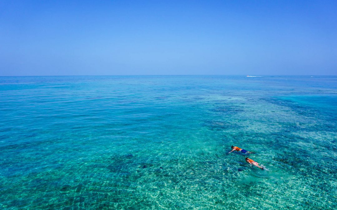 Top 5 : Les meilleurs spots de plongée de la Martinique