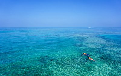 Top 5 : Les meilleurs spots de plongée de la Martinique
