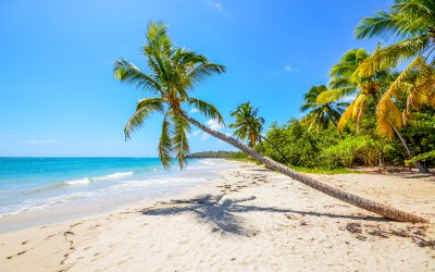 Vacances de Pâques à la Martinique