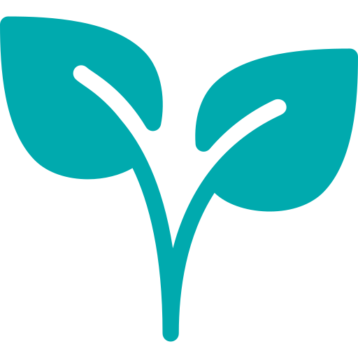 plant (1)