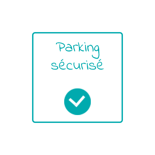 parking-secvuriser copy