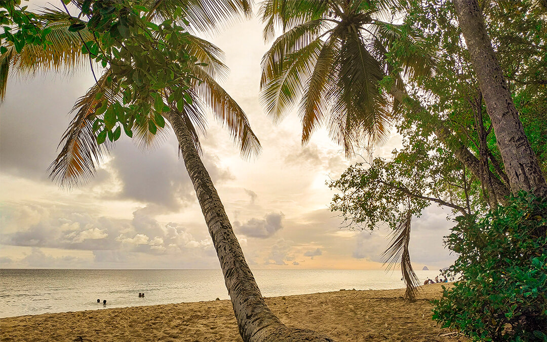 Conseils pour partir en Martinique pas cher