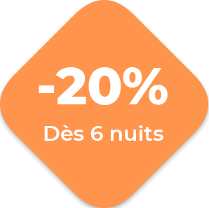 -20_header_pastille