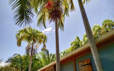 Location bungalow Martinique