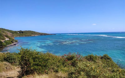 Destination soleil : la Martinique Partez au soleil en hiver !