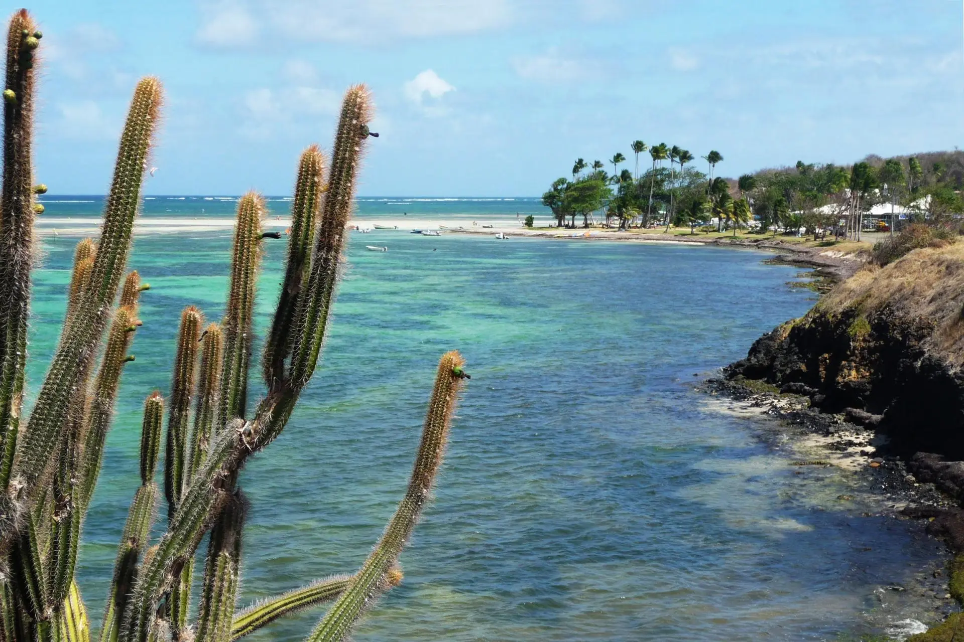 Village de la Pointe - photo 6