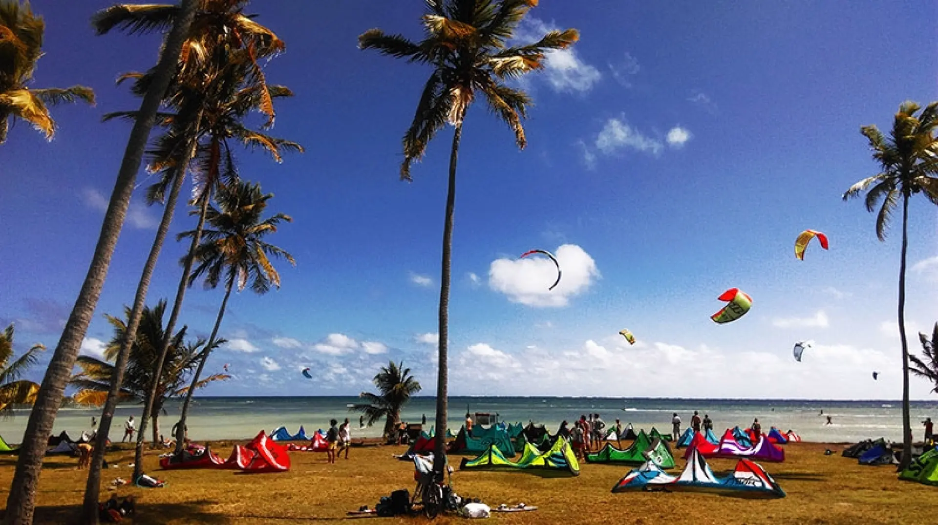 Village de la Pointe - photo 8