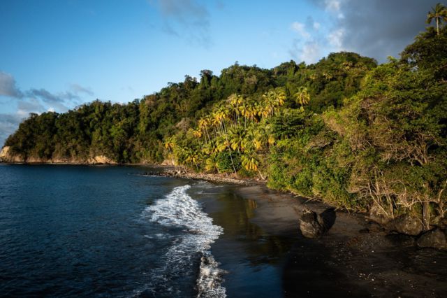 ANSE COULEUVRE 🌞

Cette très belle anse de sable volcanique est sans doute l’une des plages les plus sauvages de la Martinique. Tout au nord de l’île, aux pieds des contreforts de la Montagne Pelée, encaissée entre de hautes falaises, elle resta longtemps assez secrète, avant de devenir un des spots favoris des martiniquais. 🌴

#villagedelapointe #pointefaula #vacancesmartinique #martinique #martiniquemagnifique #logementmartinique #destinationvacances #vacancesdereve