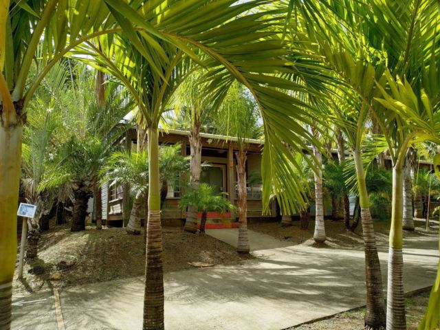 Un séjour en Cottage 🌴

Les cottages évoluent dans un cadre exceptionnel au cœur de notre grande palmeraie 🌴
Amoureux de la nature tenez-vous prêts à passer un séjour authentique, où simplicité et déconnexion sont les mots d’ordre ☀️

Réservez maintenant sur villagedelapointe.fr 

#villagedelapointe #pointefaula #vacancesmartinique #martinique #martiniquemagnifique #logementmartinique #destinationvacances #vacancesdereve