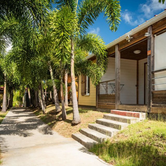 ✨Évadez-vous de la routine et plongez dans la tranquillité des charmants cottages du Village de la Pointe entourés de palmiers 🌴🌴

#tourisme #holiday #weekend #cottage #martinique #972 #FWI #photooftheday #travelphotography #nature #destinationvacances #logementmartinique
#island #travelblogger
#travelawesome
#beautifuldestinations #martiniquetourisme