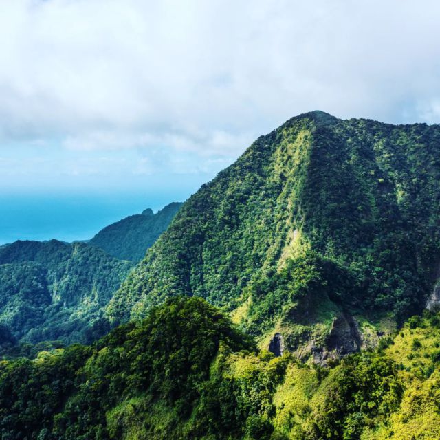 La Montagne Pelée, une expérience inoubliable pour les amateurs de nature et d'aventure, rendez-vous au sommet pour une vue époustouflante ✨

#martinique #montagnepelée #volcan #randonnée #naturelovers #aventure #ilesmartinique
#paradisemartinique #caraibes #plages #soleil #vacances #exploration #culture #histoire
#activitéspleinair #randovolcanique #jardinsbotaniques #villagedelapointe