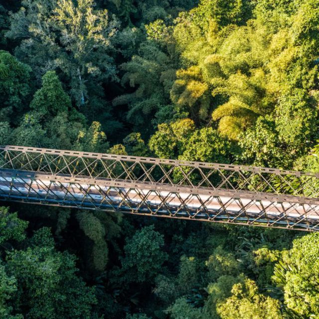 Le pont de Grand Rivière est un joyau caché de la Martinique, offrant une vue imprenable sur la mer des Caraïbes et les montagnes verdoyantes. 🌿 Lieu incontournable pour les amoureux de la nature et les passionnés de photographie. 📸

#tourisme #holiday #weekend #cottage #martinique #972 #FWI #photooftheday #travelphotography #nature #destinationvacances #logementmartinique #island #travelblogger #travelawesome #beautifuldestinations #martiniquetourisme #villagedelapointe