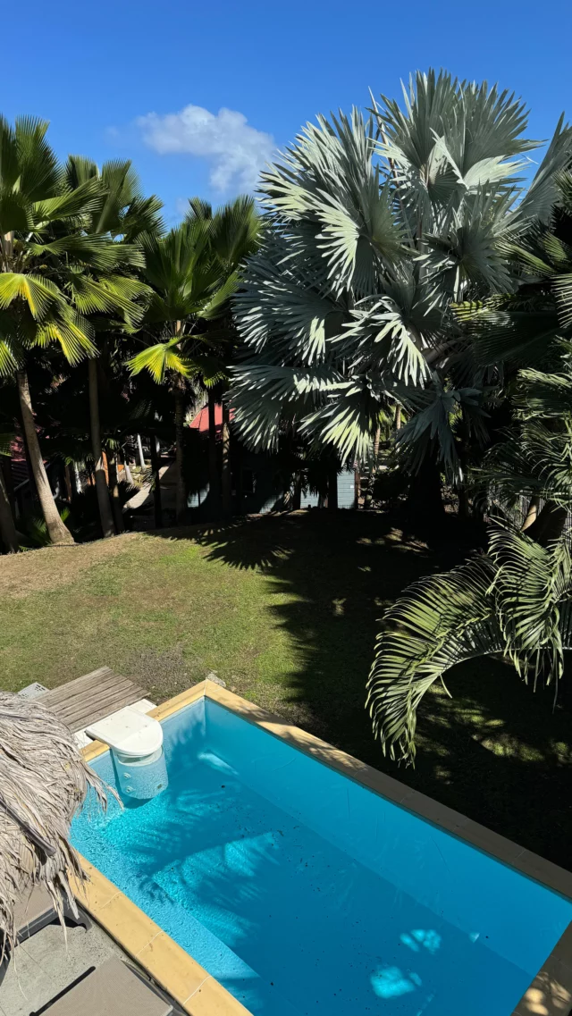 Fini les recherches interminables pour vos vacances.🌴Les villas de la pointe Faula sont à vendre. Imaginez-vous, chaque matin, réveillé par la brise tropicale dans ce cadre exceptionnel 📩 DM pour plus d’infos ! #villagedelapointe #villadereve #investissementlocatif #maisondevacances #investirsouslestropiques #paradiseliving