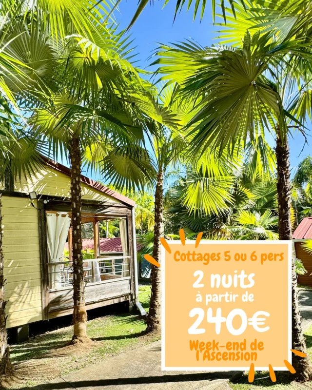 🌞 Week-end de l’Ascension – Cottages à petit prix !

Offrez-vous une parenthèse dans le sud 🌴
2 nuits à partir de 240€ – pour 5 à 6 personnes
📍 Gîtes 2 ou 3 chambres , nichés au cœur de la palmeraie

👨‍👩‍👧‍👦 Idéal en famille ou entre amis
💦 Piscine accessible toute la journée
🍹 Snack-bar sur place
🕓 Départ tardif offert jusqu’à 16h le jour du départ (pour en profiter jusqu’au bout !)

⚠️ Dernières places disponibles – ne tardez pas !

📲 Réservez directement sur notre site - lien en bio - ou écrivez intéressé en commentaire. 

#WeekEndAscension #DernièresDisponibilités #VacancesMartinique #GîteMartinique #SudMartinique #Palmeraie #EscapadeTropicale #SéjourEnFamille #VacancesEntreAmis #BonPlanVacances #PiscineEtDétente #DépartTardif #SnackBar #VoyageCaraïbes #WeekendRelax #RéservezVite #VacancesAntilles #ParenthèseEnsoleillée #GîteDeCharme #MartiniqueTrip